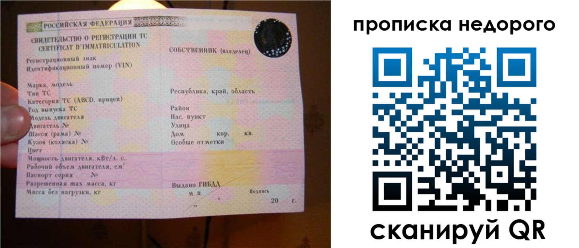 миграционный учет в Приморском крае